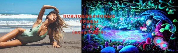 марки nbome Богородицк
