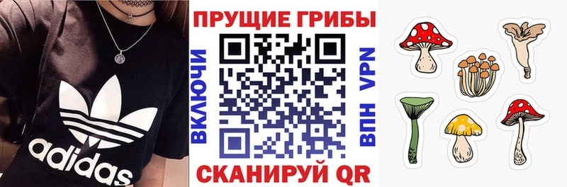 Галлюциногенные грибы Magic Shrooms  цены   кракен ССЫЛКА  Ильский 